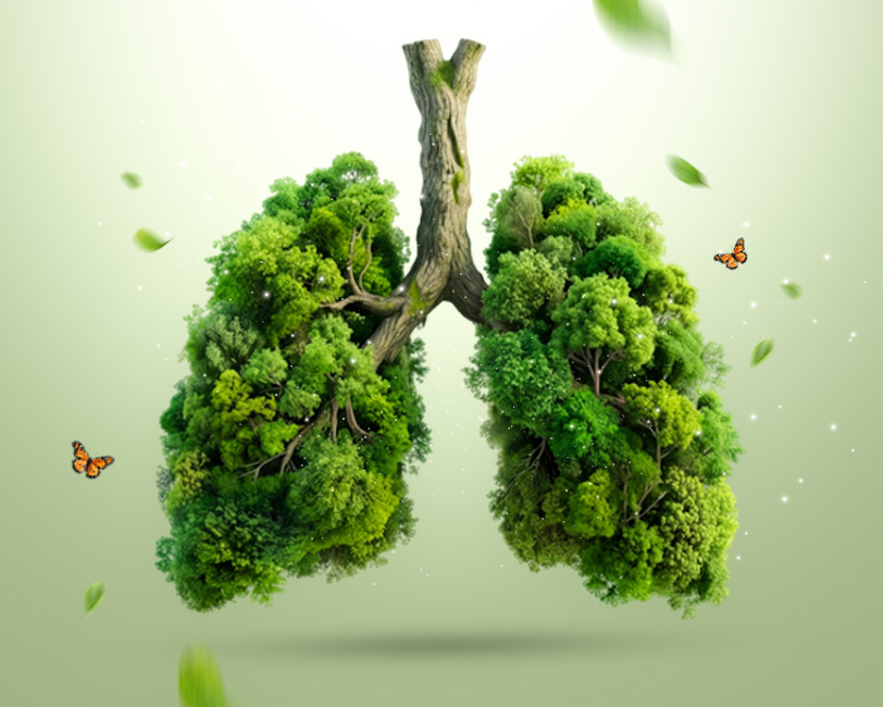 lung square
