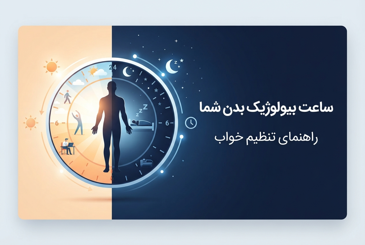 نمودار ریتم سیرکادین بدن و چرخه شبانه‌روزی